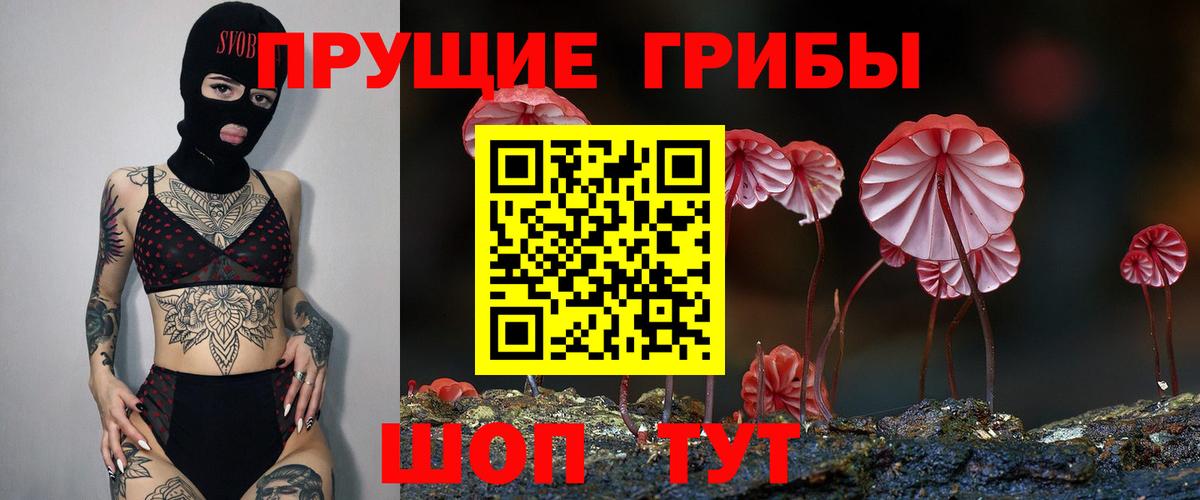 Галлюциногенные грибы Psilocybe Аксай